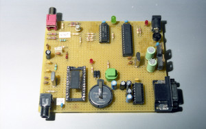 Underbelly Proto View